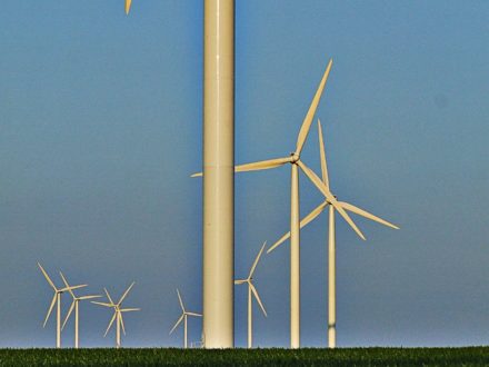 Eight windmills in a field